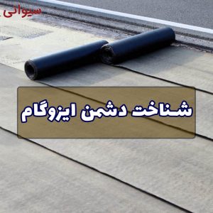 دشمن-ایزوگام